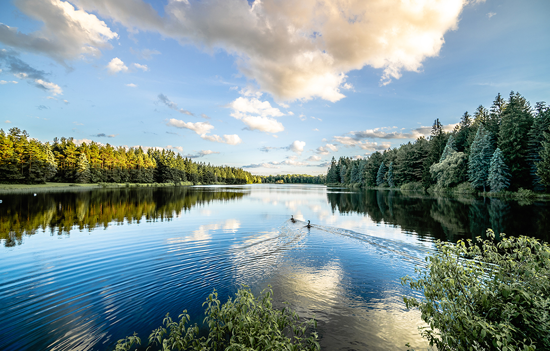 A photo of Foster Lake at Alfred University