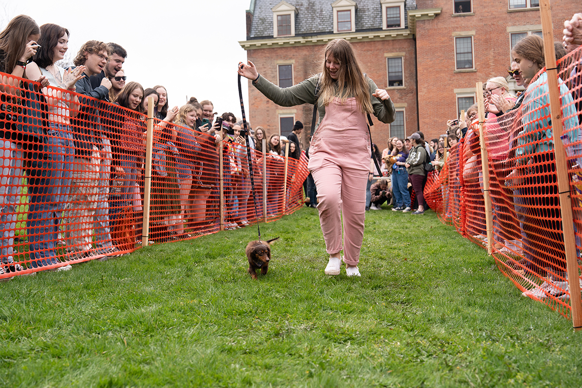 A photo of a woman walking a wiener dog in the grass during Hot Dog Day