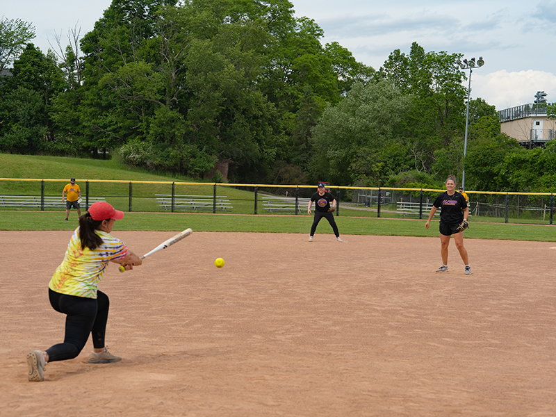 A photo of the Alfred University faculty and staff playing softball