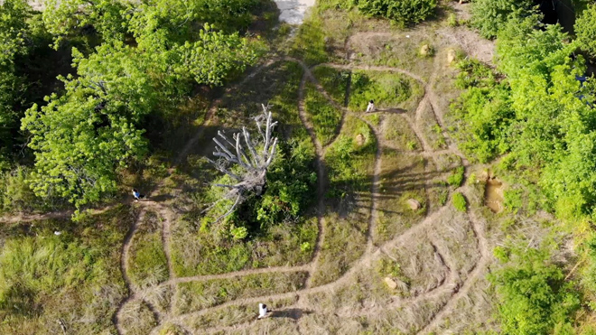 still image of another aerial shot of random paths with a tree in the center