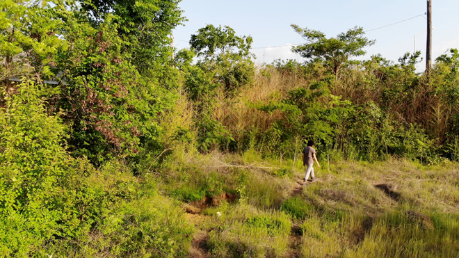 still image of someone walking away on a path with overgrown green nature surrounding