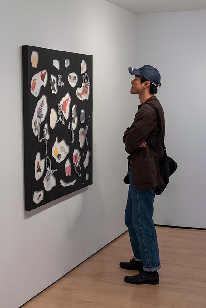 person viewing the artwork on display