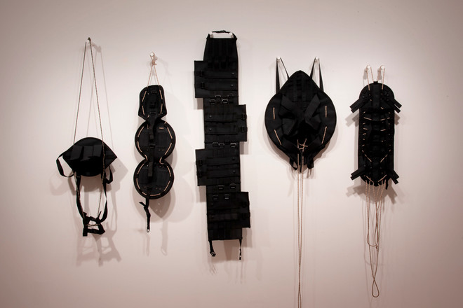 spotlight on harnesses