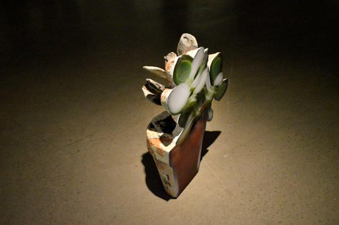 Jason Segall Flower pot