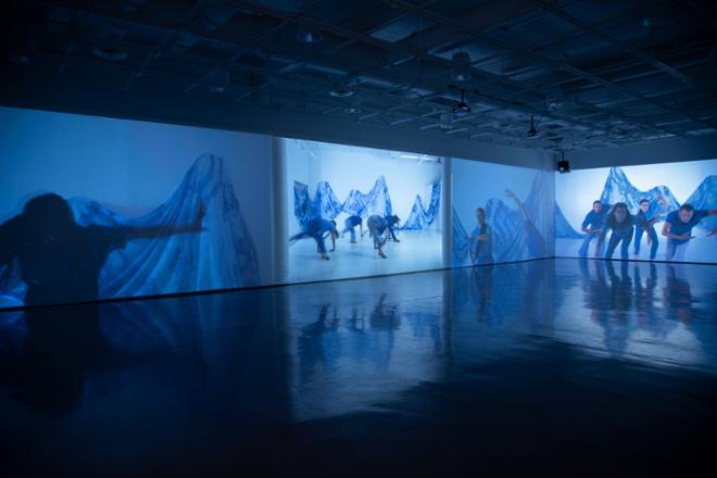 video stills on multiple walls in immersive gallery