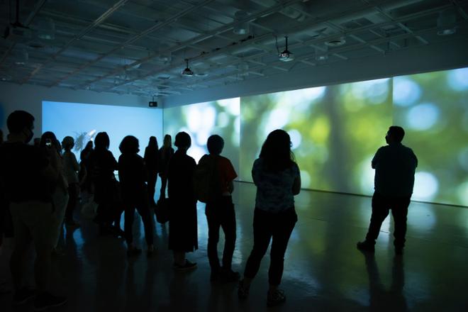 group of people watching video play in the immersive gallery
