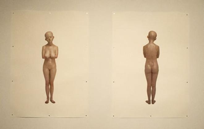 Human Full Body Front and Back