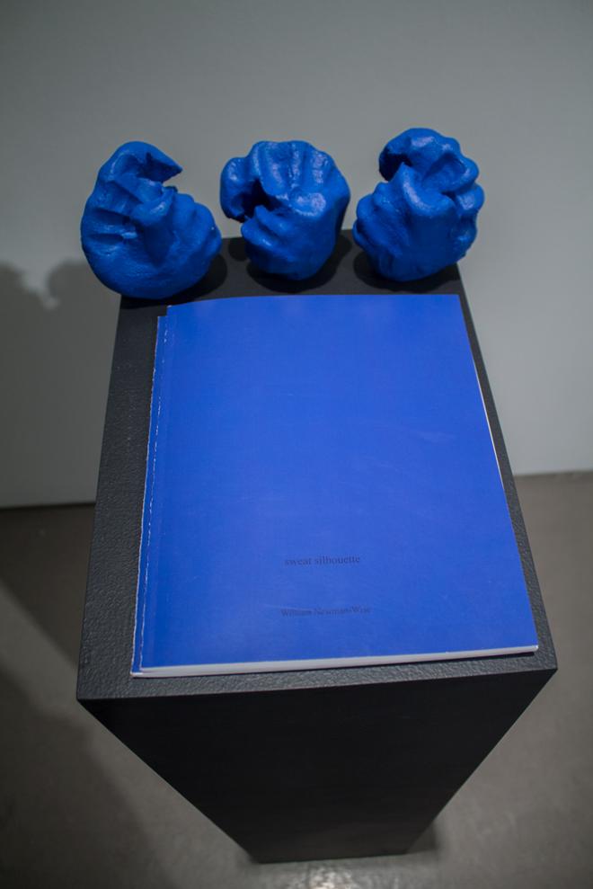 Blue Ceramics And a Large Blue Book 
