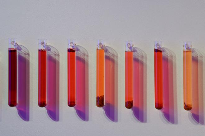 Red, Yellow, Orange Liquid Tubes Display