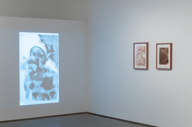 gallery of Lucy Kim's art pieces