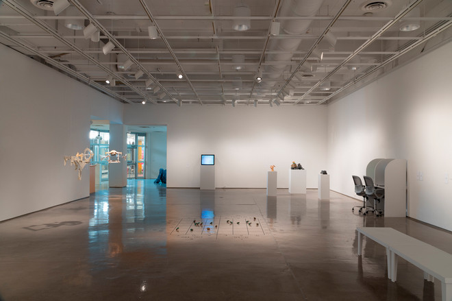 empty gallery space filled with artwork