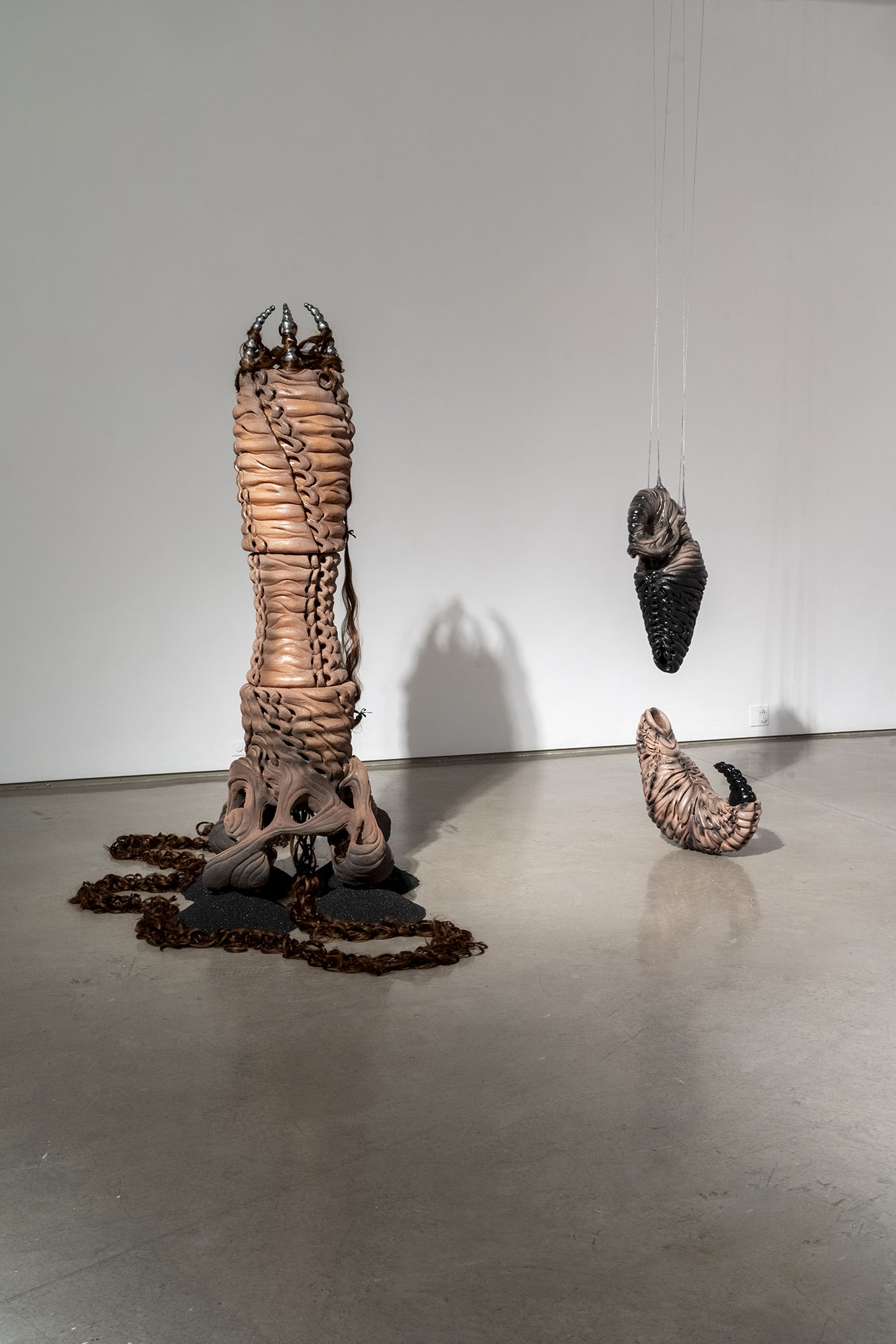 Gallery view of organic sculptures highlighting their unique forms and textures.