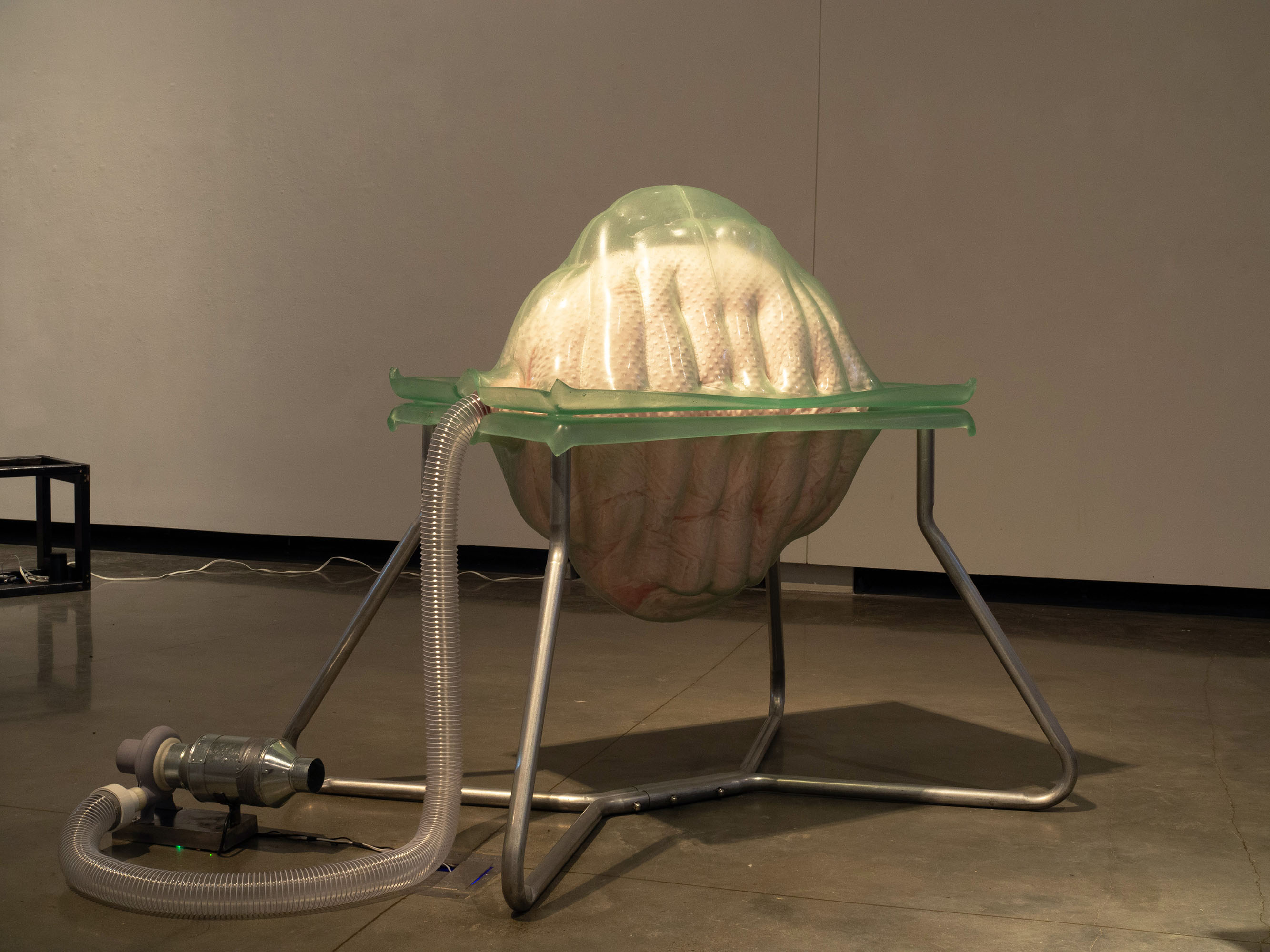 Translucent organic sculpture in a green frame with metal legs and hose attachment.