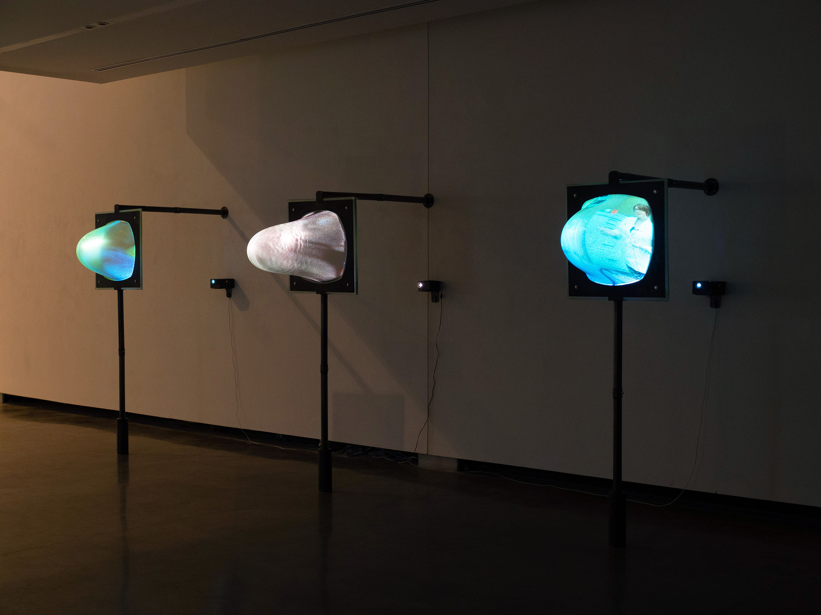 Three glowing organic sculptures on stands against a dark wall.