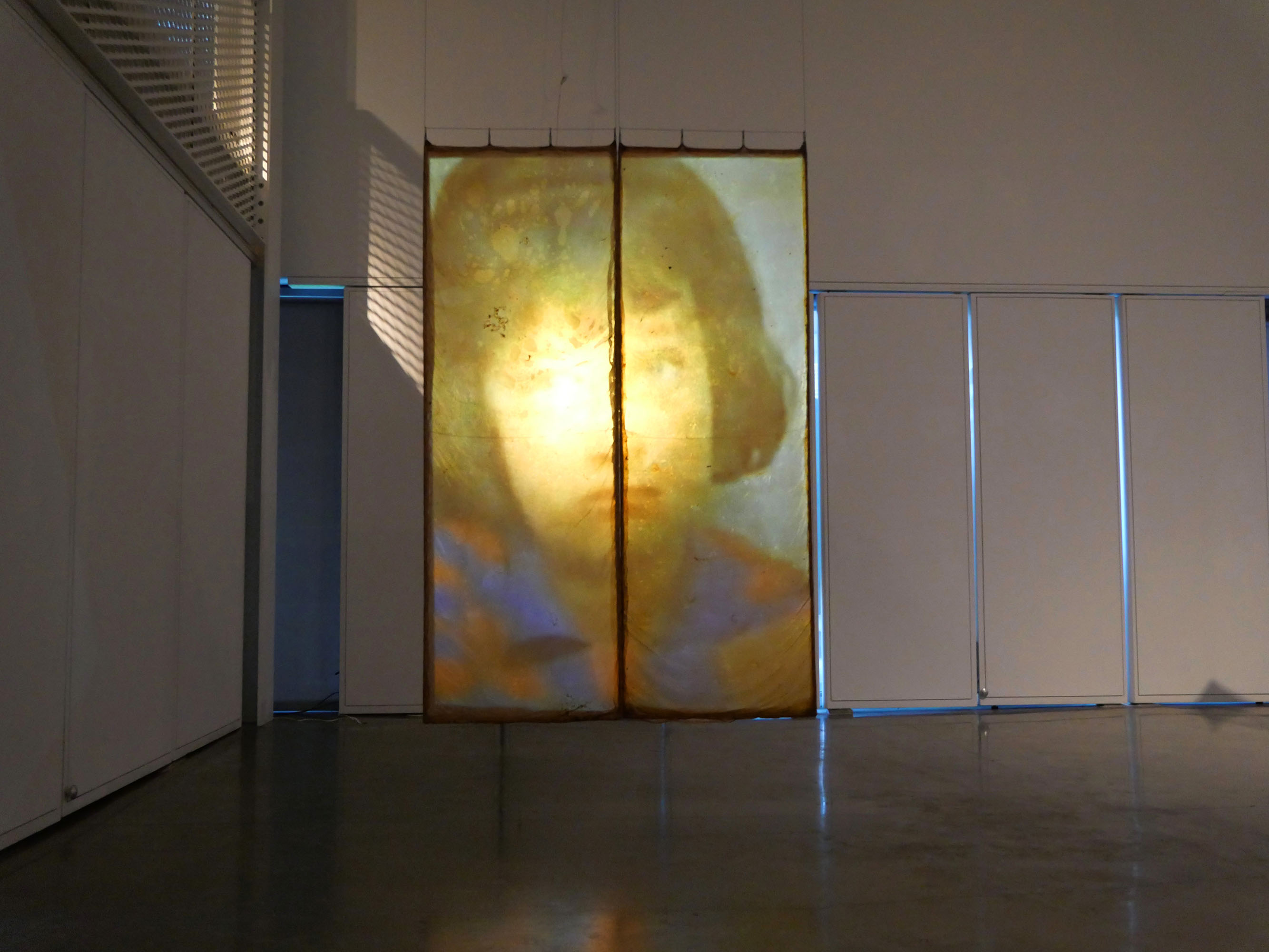 Large projection of a blurred face on two hanging panels in a gallery.