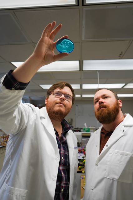Students studying a ball of glass