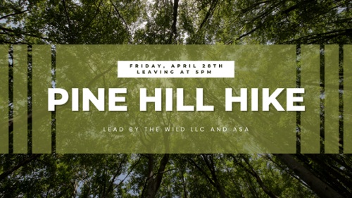 pine hill hike poster